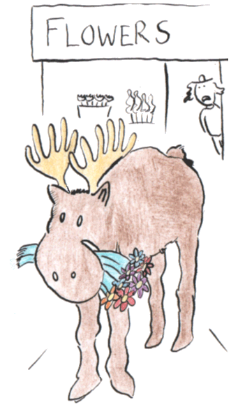 the moose eats flowers from the flower store.